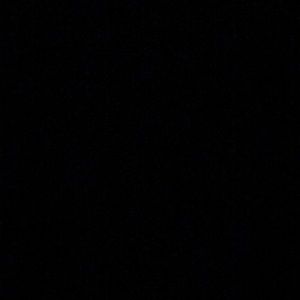 Meet your Posher, Alanis